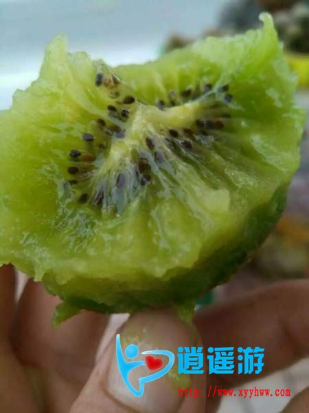 QQ图片20160819172630.jpg