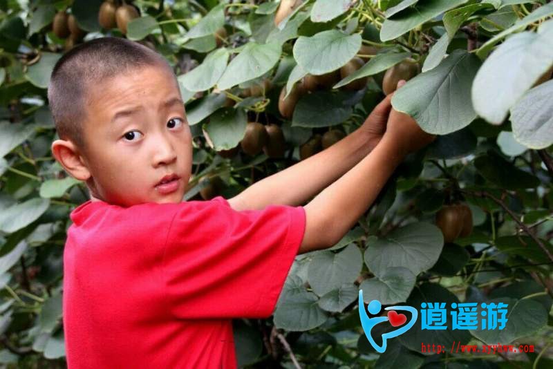 QQ图片20160819172652.jpg