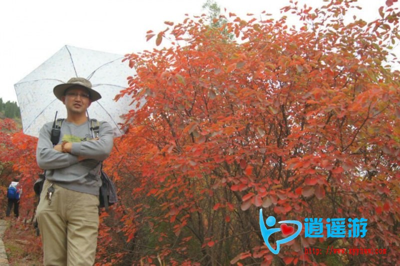 QQ图片20161014092004.jpg