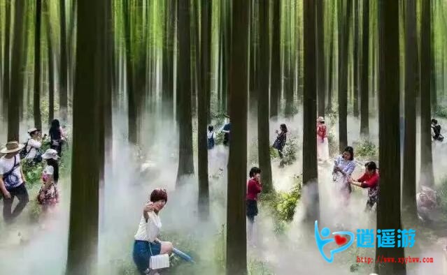 QQ截图20170216160915.jpg
