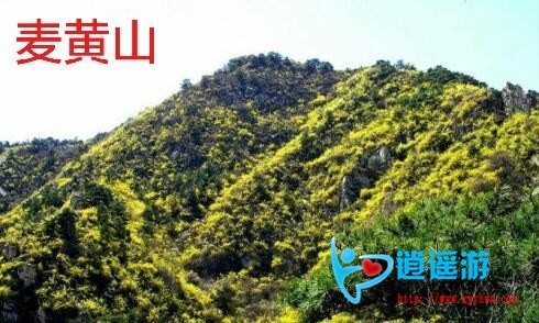 QQ图片20170405074946.jpg