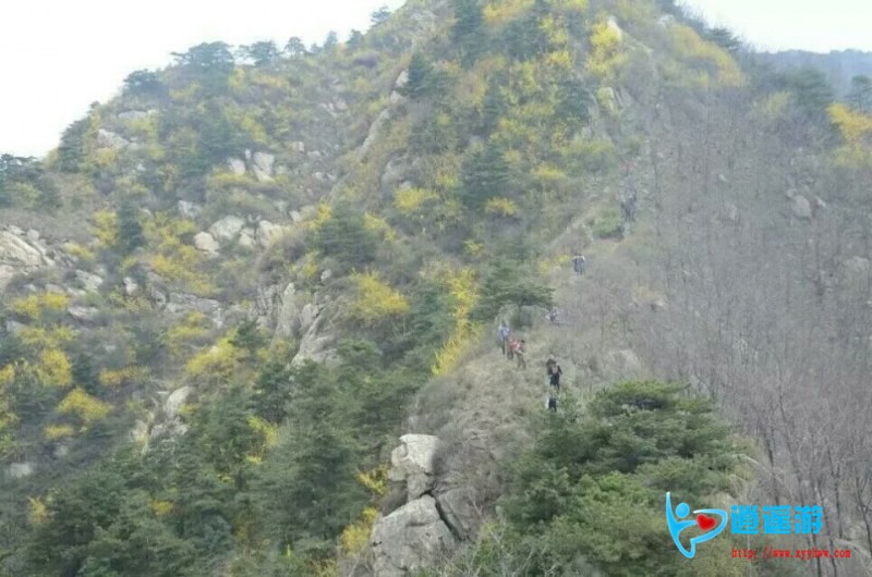 QQ图片20170405075053.jpg