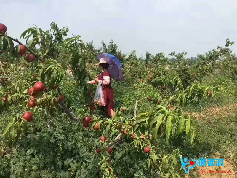 微信图片_20170710234423.jpg