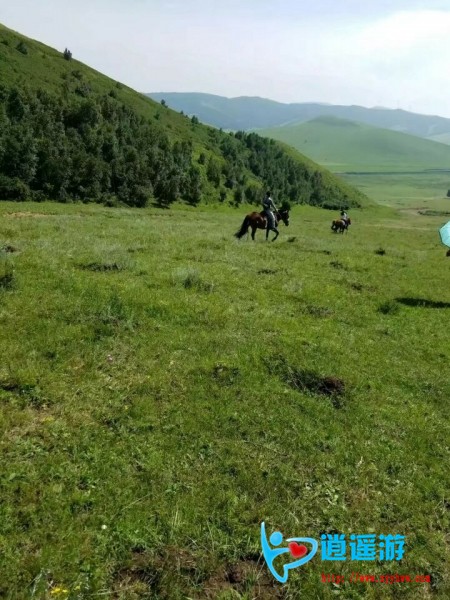 QQ图片20170716213231.jpg