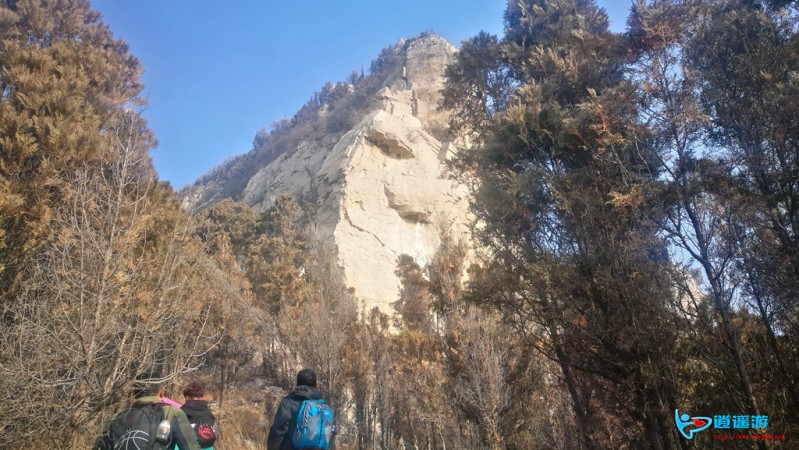 IMG_20190112_103257.jpg