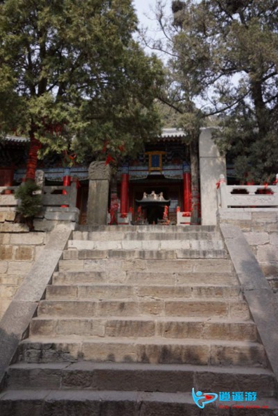 181805bv8ajir755dw4w0a.jpg.thumb.jpg