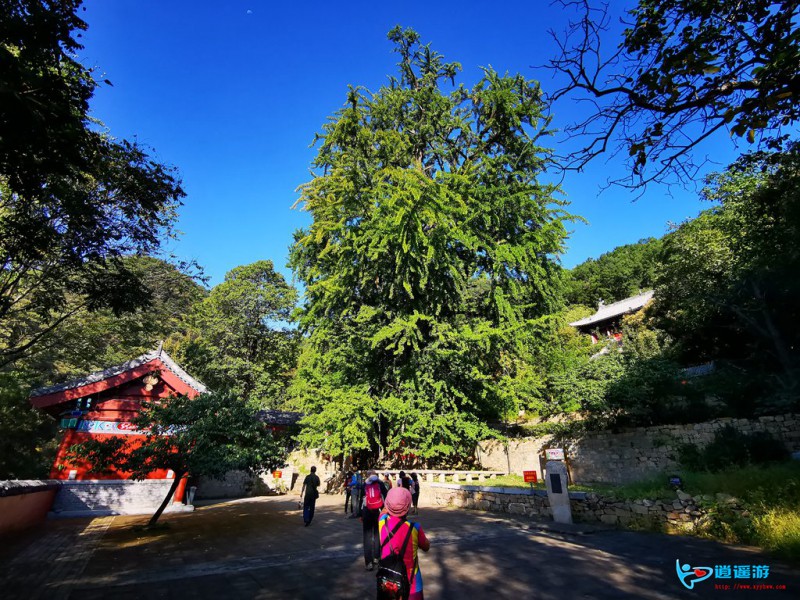 IMG_20190922_080741.jpg