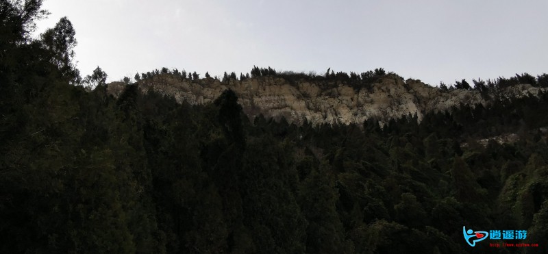 IMG_20200127_135057.jpg