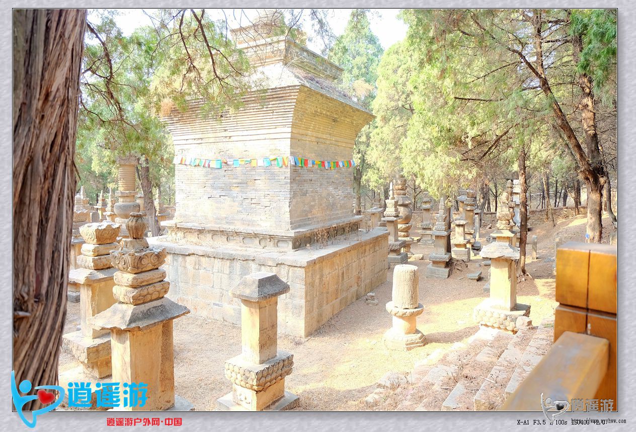 DSCF9941.JPG