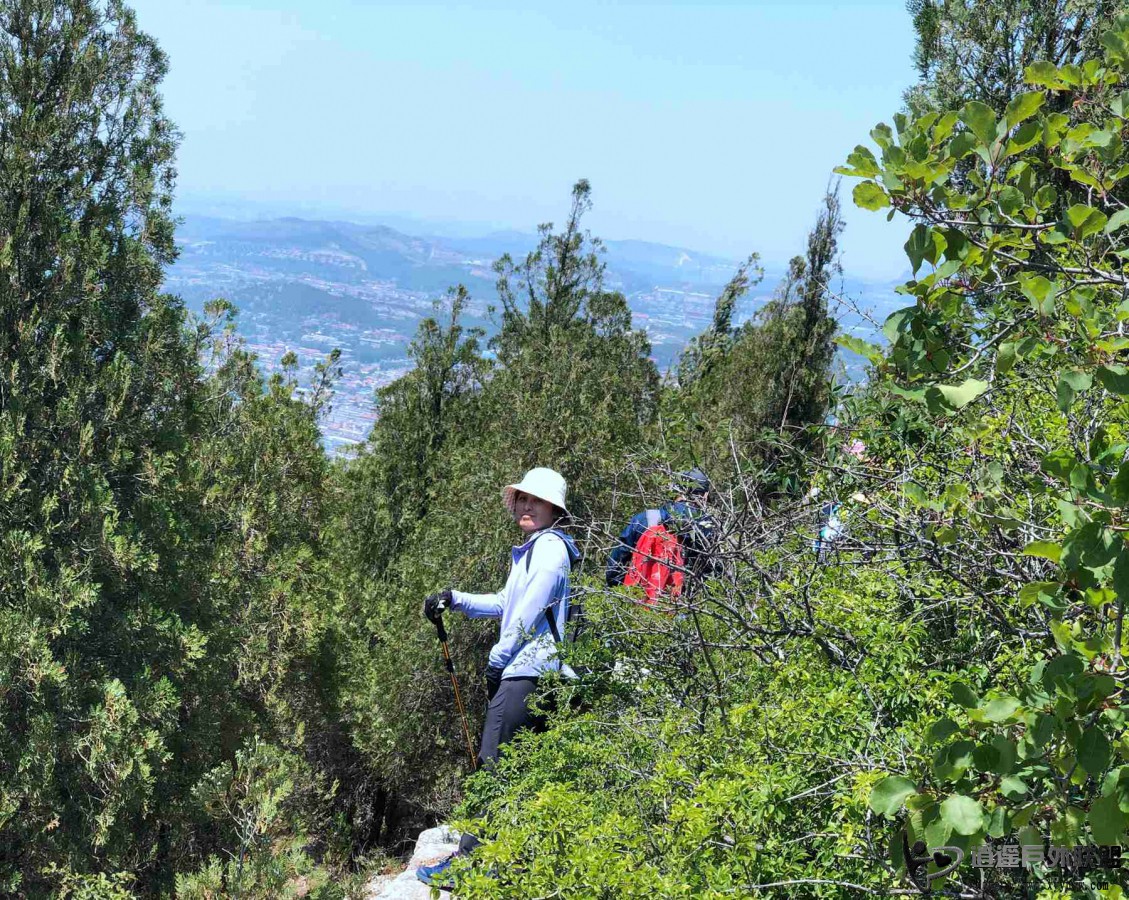 22年6月5日逍遥游西老泉、莲台山（娄敬洞）、义净寺穿越，玉杏采摘mmexport1654694354439.jpg