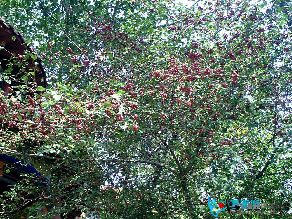 nEO_IMG_PICT0057.jpg