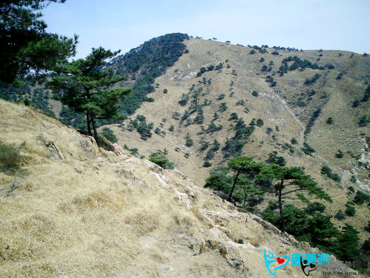 PICT0037.jpg