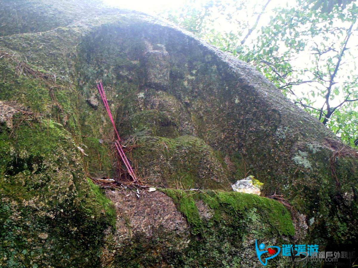 PICT0202.jpg