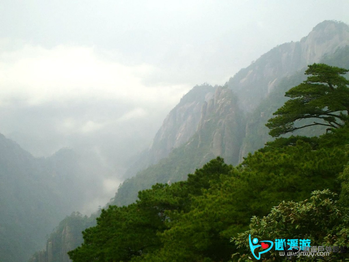 PICT0252.jpg