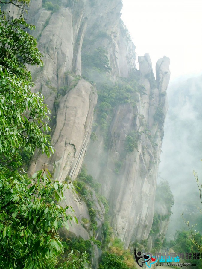 PICT0337.jpg
