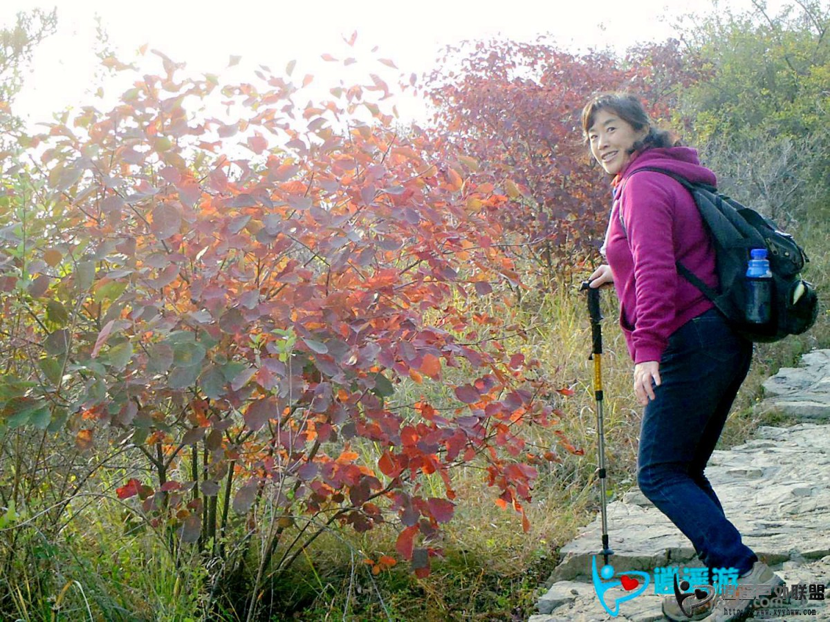 PICT0086.jpg
