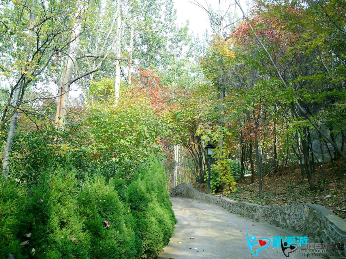 PICT0099.JPG