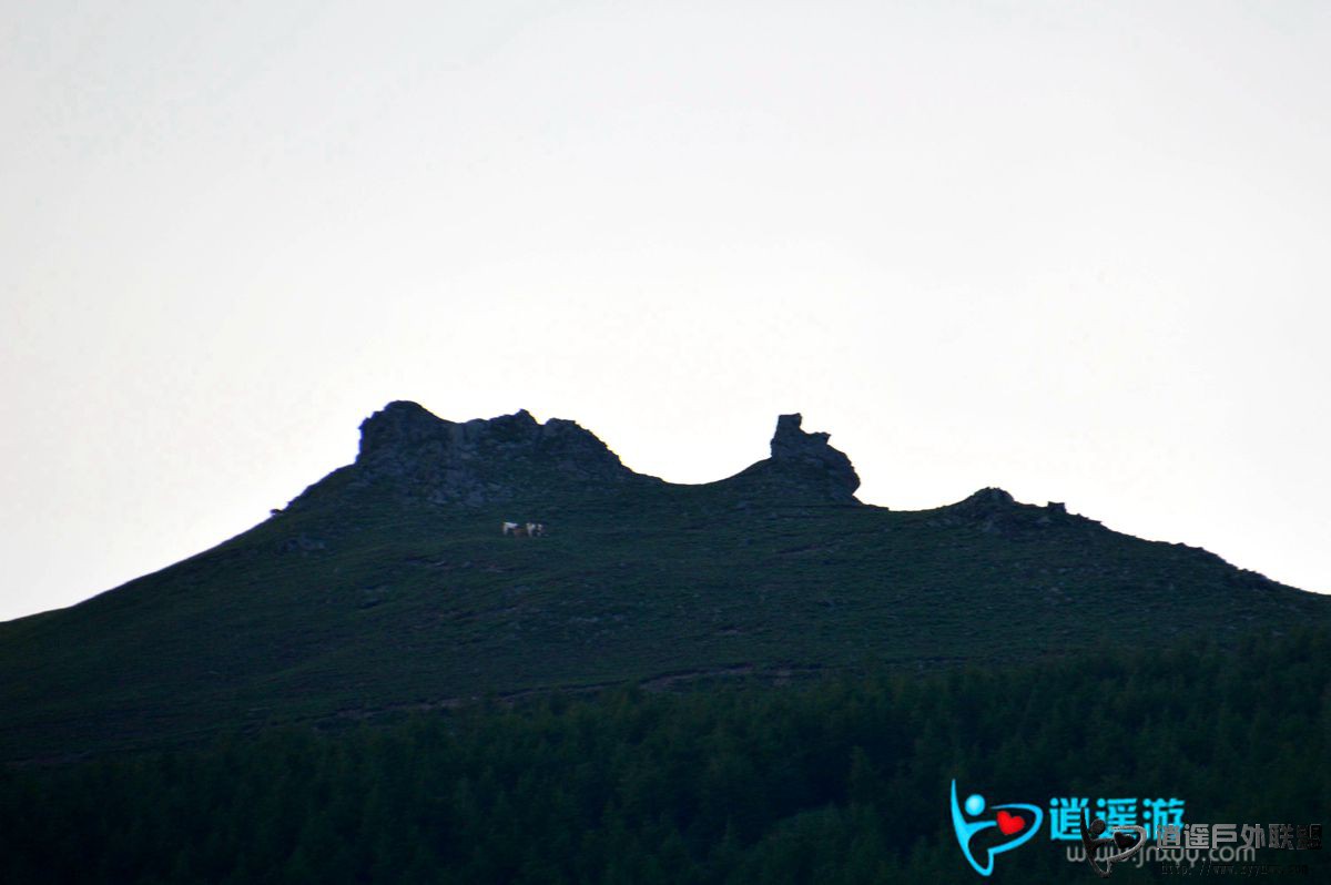 DSC_0190.JPG