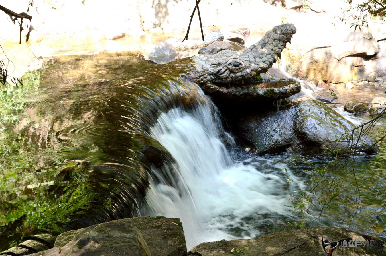 DSC_0297.JPG