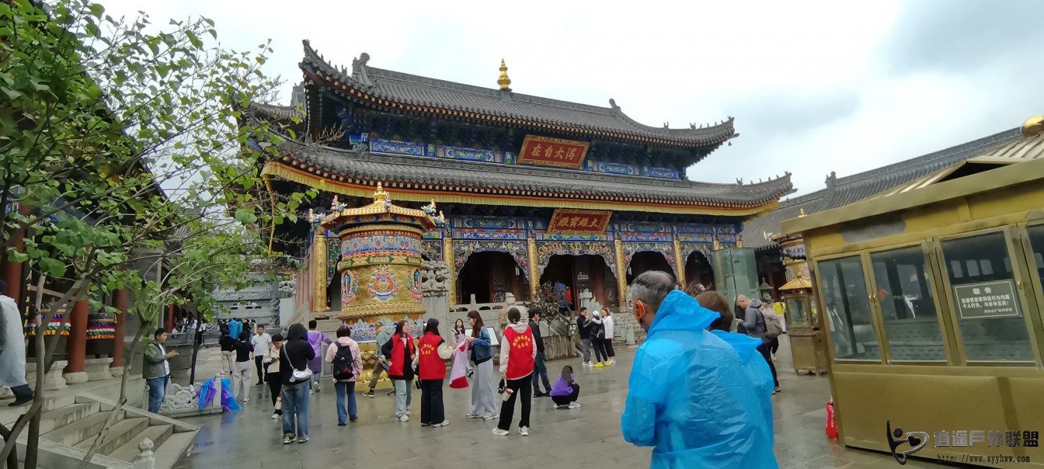 IMG_20250601_144132.jpg