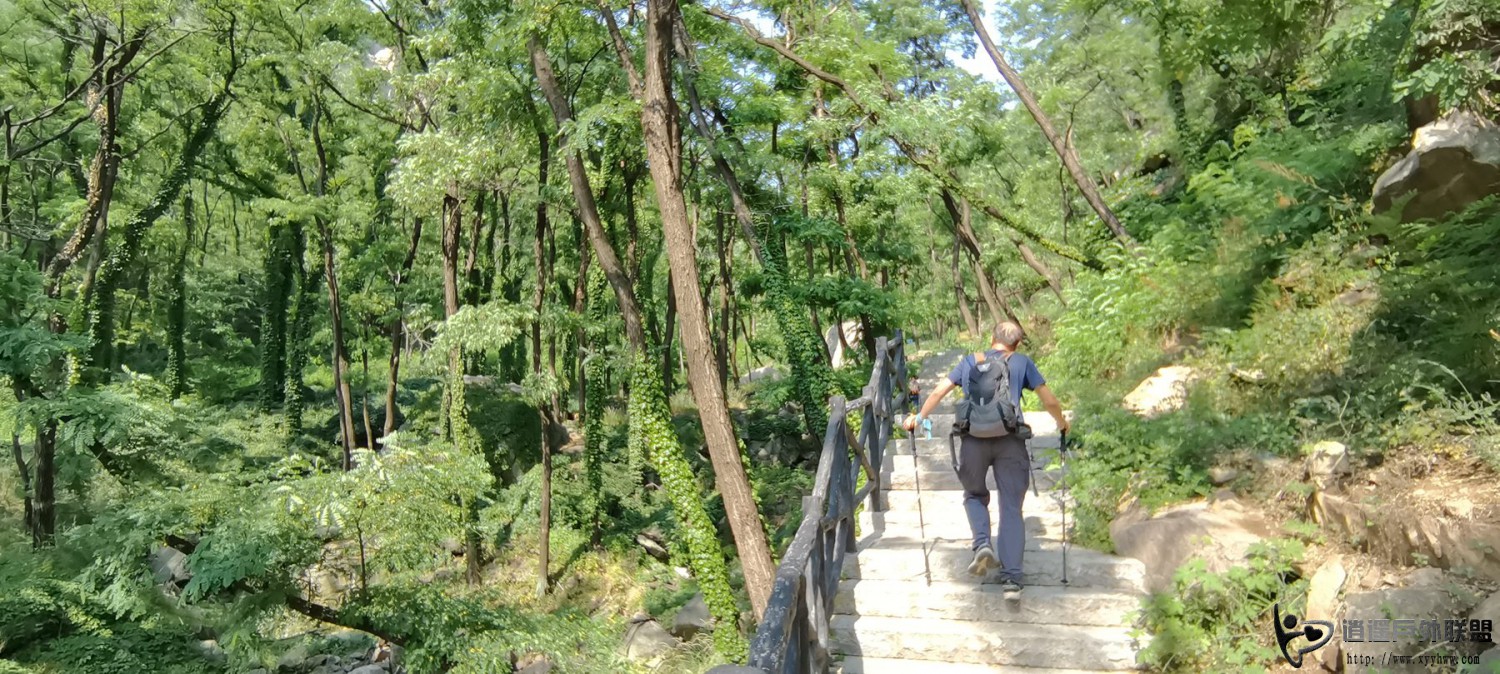 IMG_20250608_085832.jpg