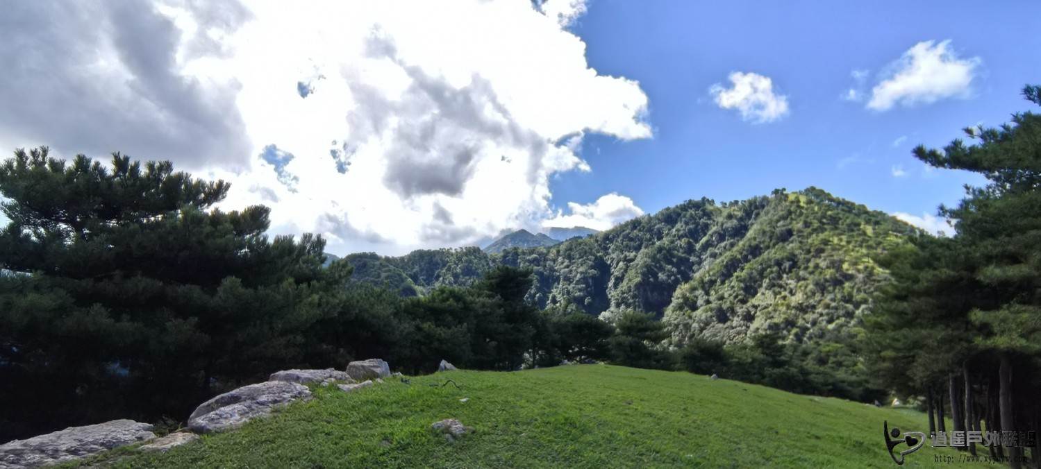 IMG_20250727_095845.jpg