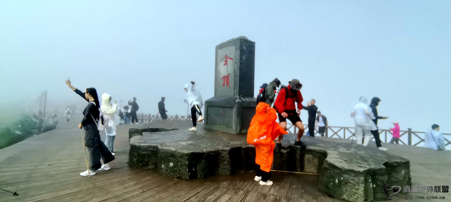IMG_20250815_100508.jpg