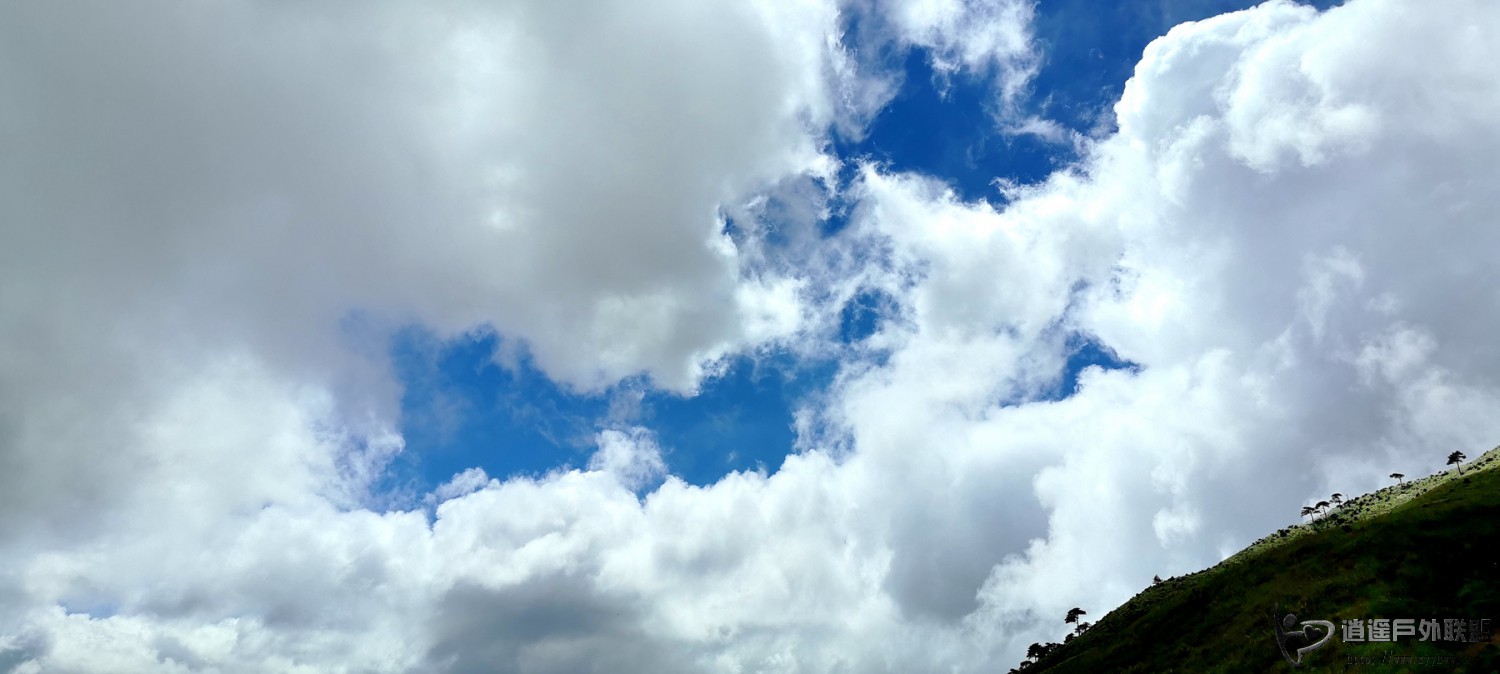 IMG_20250815_142228.jpg