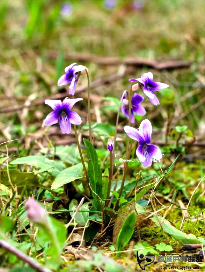 image_1777810526138.jpg
