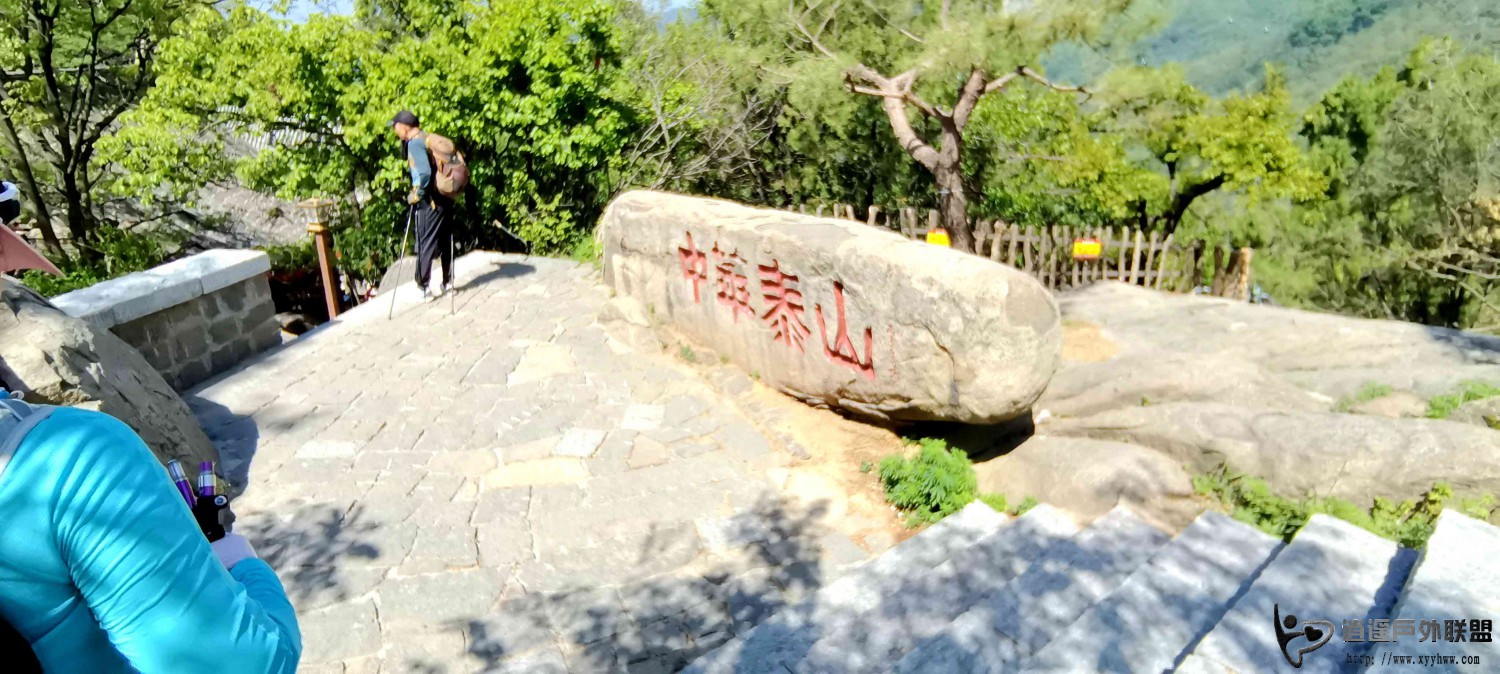 IMG_20260510_093919.jpg
