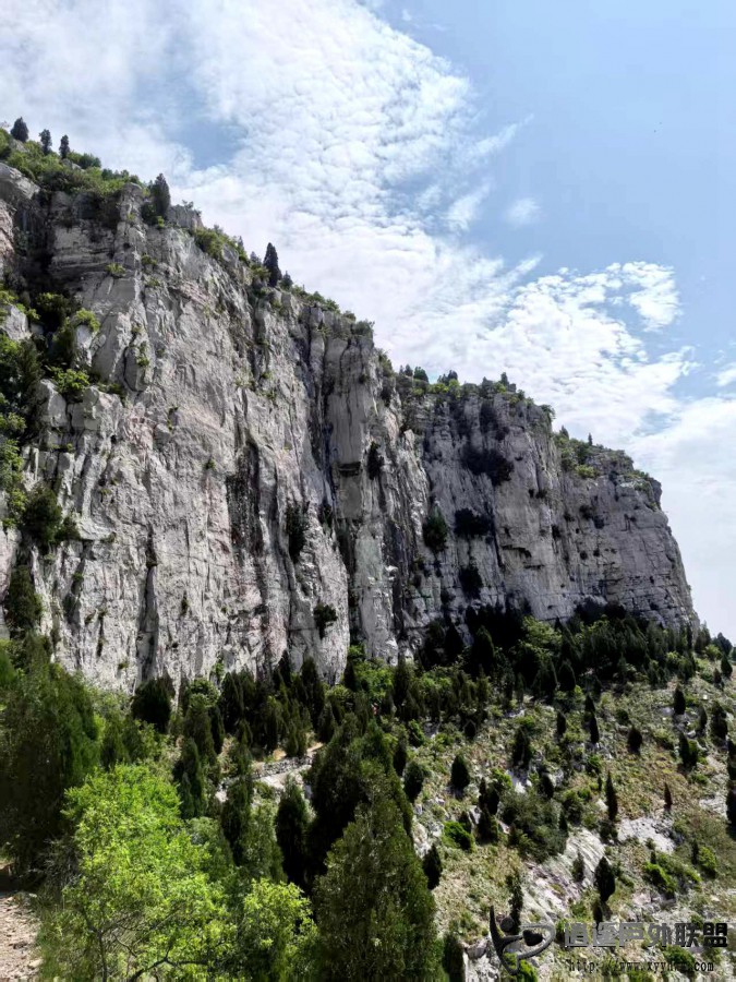 image_1779009954881.jpg
