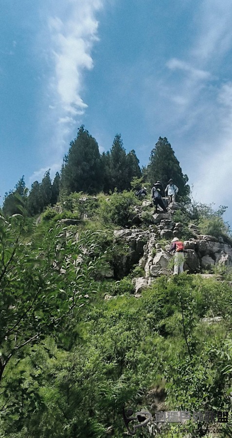 image_1780300391681.jpg