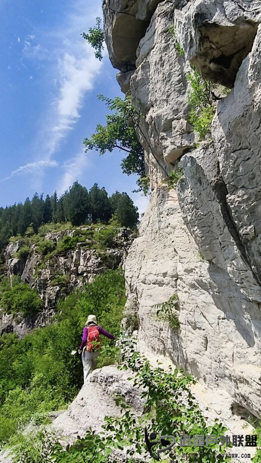 image_1780300396489.jpg