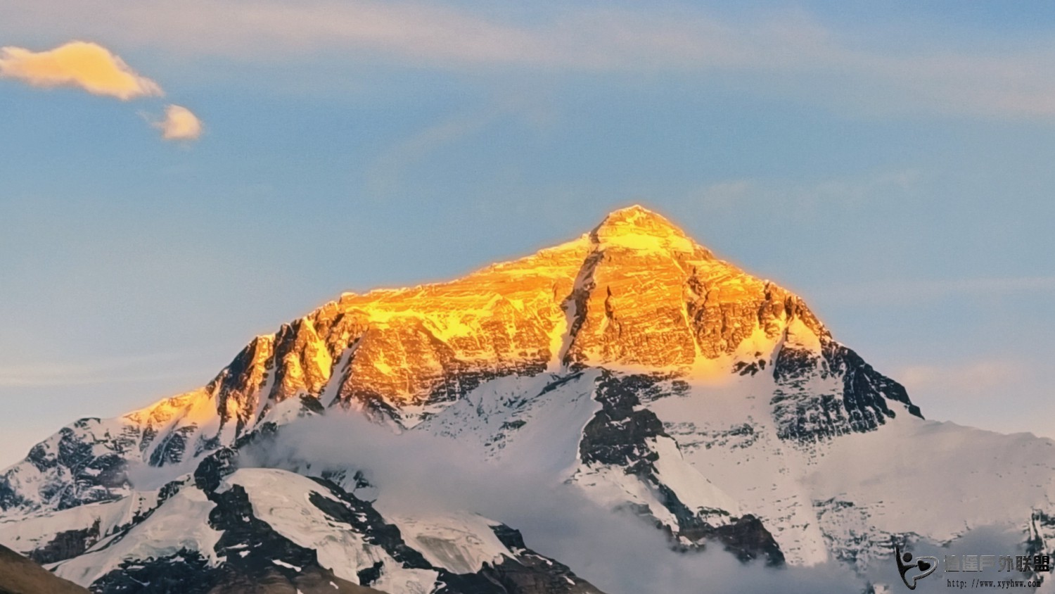 image_1782566146144.jpg