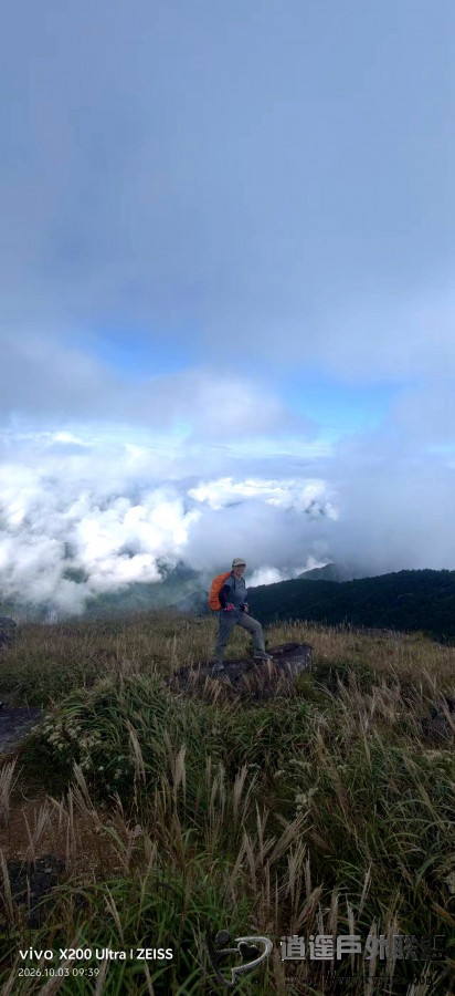 image_1791463047424.jpg